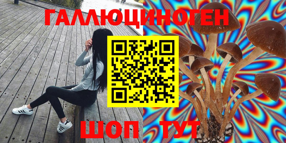 Псилоцибиновые грибы мухоморы  Вход с VPN  наркошоп  Хасавюрт 